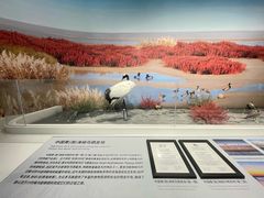 -盐城丹顶鹤湿地生态旅游区