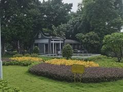 -荔湾湖公园