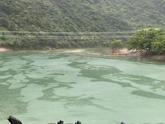 -杨家寨