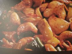 -聚鑫朋酸菜肥肠(文艺路口店)