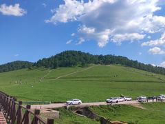 -关山草原