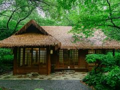 -中国茶叶博物馆(双峰馆区)