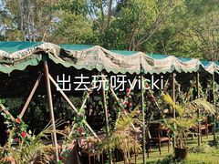 -野象谷景区