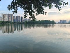 -飞来湖湿地公园