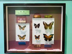 -上海昆虫博物馆