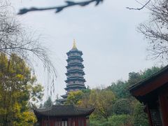 -重庆园博园