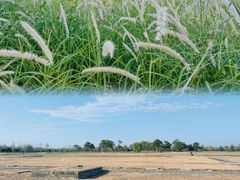 -汉长安城未央宫国家考古遗址公园