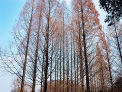 -北固山景区