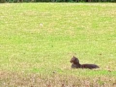 -上海交通大学医学院附属瑞金医院(总院)