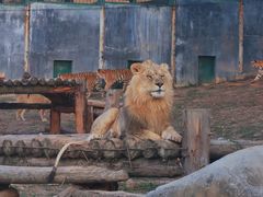 -泉州海丝野生动物世界