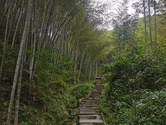 -塔川景区