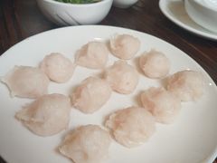 手打鱼丸-正能量脆肉鲩火锅
