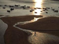 -北岐滩涂