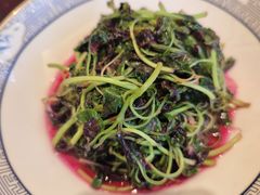 -四季春(美食街店)