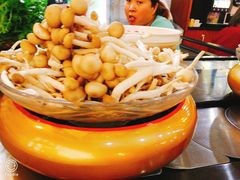 -龍歌自助小火锅(崂山丽达店)