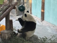 -青藏高原野生动物园
