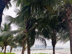 -阿浪海鲜连锁•海鲜加工•老字号(第一市场店)