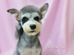 -小尾巴宠物店(万科·金域华庭店)