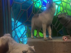 -自然博物馆(地铁站)