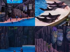 -珠海长隆海洋王国