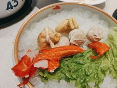 -蒙都43°9羊火锅·赤峰美食(桥北店)