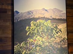 -星巴克(漕河泾2店)