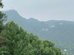 -南山植物园