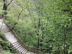 -洛阳白云山景区