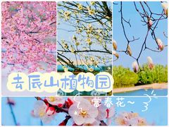 -上海辰山植物园