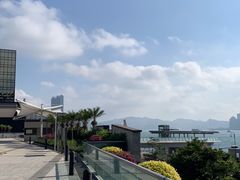 -星光大道