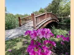 -上海共青森林公园