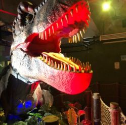 -恐龙探索乐园(磁器口店)