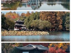 -西湖游船