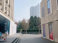 -Seesaw Coffee(上生新所店)