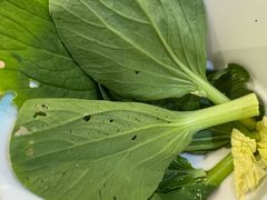 -探窝·竹笙椰子鸡(杨箕店)