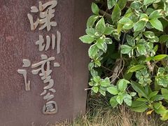 -深圳湾公园(南山区)