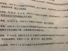 -冰岛阴茎博物馆