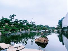 -罗红摄影艺术馆