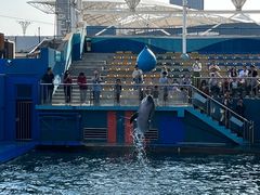 -秦皇岛新澳海底世界