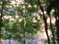 -怡海公园(桂城街道)