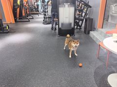 -博纳私人订制健身(中集美兰湖店)