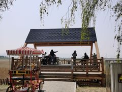 -野鸭湖国家湿地公园