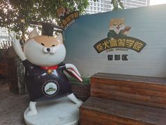 -柴犬高等学院·狗咖·柴犬售卖·宠物训练