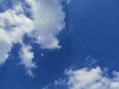 -上海月湖雕塑公园