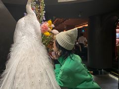 -滇野云南野生菌餐厅(陕西南路店)