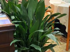 -杭州香格里拉·香宫中餐厅