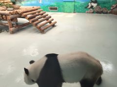 -柳州市动物园