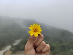 -梧桐山风景名胜区