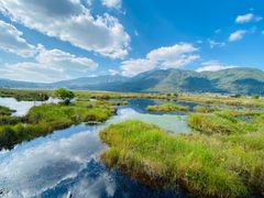 -腾冲北海湿地