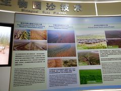 -亿利库布其七星湖沙漠生态旅游区